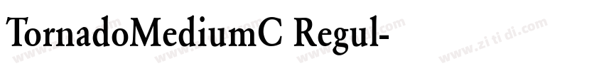 TornadoMediumC Regul字体转换 TornadoMediumC Regul字体转换